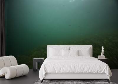 underwater landscape green algae background abstract water Wall mural