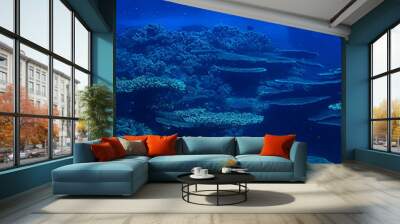 underwater scene / coral reef, world ocean wildlife landscape Wall mural