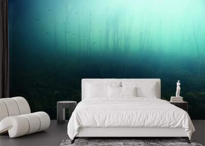 underwater scenery in the river diving Wall mural