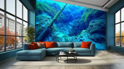 view underwater lake, freshwater landscape ecosystem clear water Wall mural