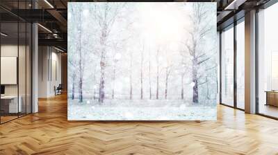 white wood covered with frost frosty landscape Wall mural