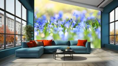 wild blue spring flowers, wildflowers small flowers, blurred abstract background many flowers Wall mural