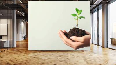 Woman hand holding soil with seedling plant and isolated clean background. Wall mural