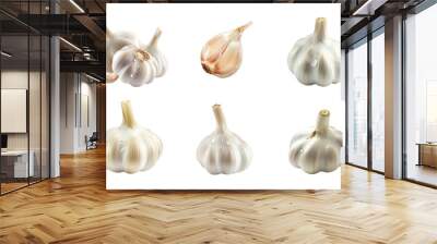 Garlic Collection Bundle Set Isolated on a Transparent Background Wall mural