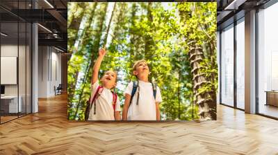 Children brother sister exploring nature forest  Wall mural