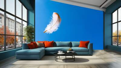 Dreaming and freedom concept.Feather floating in the sky. Wall mural