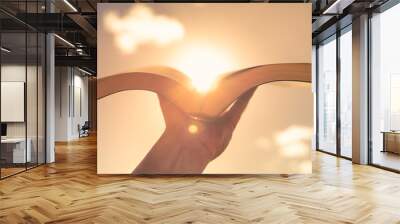 Hand holding up bible  book to the sun light. Religious spiritual belief concept  Wall mural