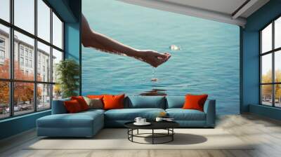 Hand scooping up water in calm lake surface  Wall mural