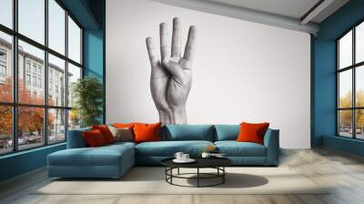 Hand showing five fingers.  Wall mural