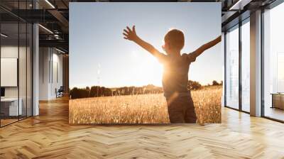 It's a beautiful life! Child standing with arms up facing the sunrise having feelings of freedom, hope, and happiness	 Wall mural