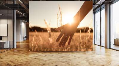 person walking on open field at sunset softly brushing hand over tall grass. Feeling at peace in nature concept Wall mural