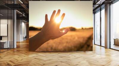 Persons hand in nature reaching out to touch the warm sun light. Spiritual, light, healing energy concept Wall mural