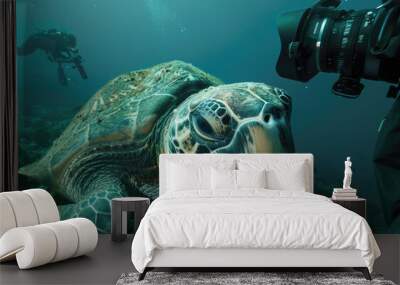 A giant sea turtle being photographed Wall mural