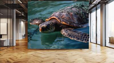 a turtle caught with fishing net. The concept of environmental protection. Sea, ocean turtle need to be freed from fishing nets. No to Dead turtles, generative AI Wall mural