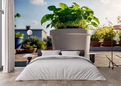 A pot of green plants is placed in a garden background., Placed as decoration on the wooden table, Growing a vegetable and plants for relaxing, Green plants in a white pot, Green plant on a white pot. Wall mural