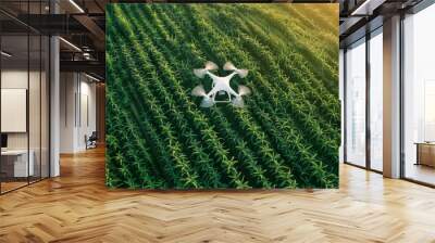 A white drone is flying over a field of corn Wall mural