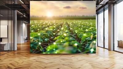 Green field of soybean plants with net of glowing dots above them. Concept of digital agriculture and smart farming. Wall mural