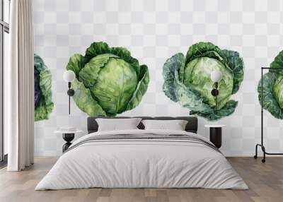 Cabbage watercolor isolated graphic transparent Wall mural