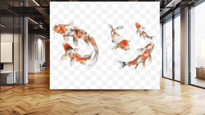 Koi fish watercolor transparent isolated vector Wall mural