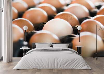 A large, clean chicken egg is in a package awaiting delivery. Selective focus Wall mural