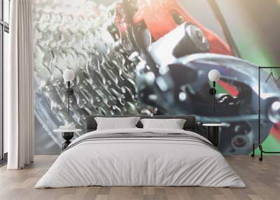 Advanced bicycle gearing system Made from good quality aluminum gear teeth. Can increase speed from start to top. Wall mural