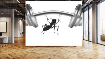 ant lifting weight dumbell body building workout gym Wall mural