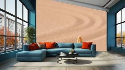 one single sea star or starfish on tropical beach sand. Concept for summer holiday vacation. Sandy background with empty space. Wall mural