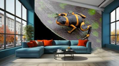 poison dart frog Ranitomeya imitator Wall mural