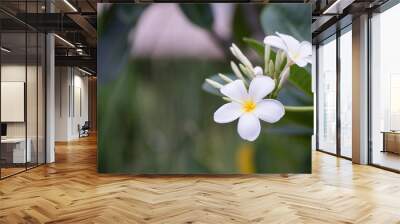 Beautiful Flower is called as Lilawadee Wall mural