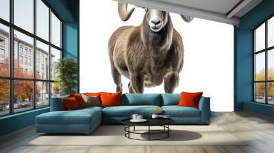 Wild big horned sheep isolated on transparent Wall mural