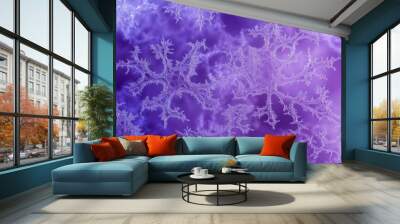 Purple Frost Patterns: Intricate Ice Crystals Background Wall mural