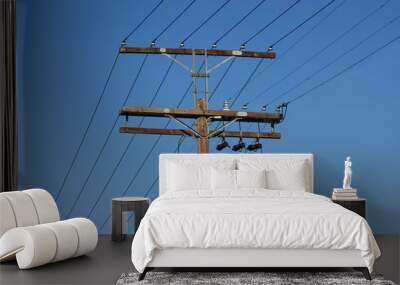 High Voltage Utility Pole in the United States of America Wall mural