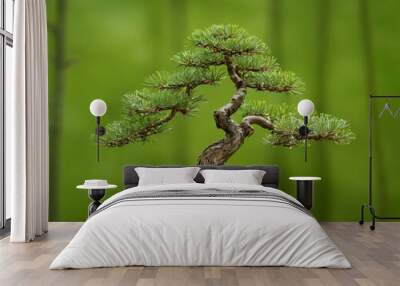 Abstract nature scene with a composition of spruce branches, stones, and dry snags. Traditional japanese bonsai miniature tree on a green background. Copy space. Ai generated image Wall mural