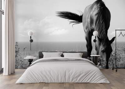 Black and white picture of horse Wall mural