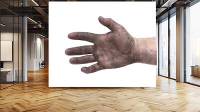 dirty man hand isolated white background Wall mural