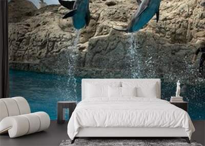 Two dolphins jumping out of water simultaneously trick. Wall mural