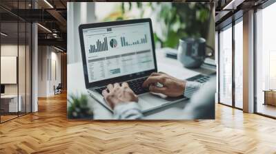 An accountant using specialized accounting software on their laptop to streamline financial processes.  Wall mural