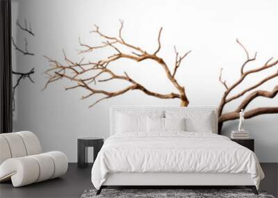 Dry tree branch isolated on transparency background PNG Wall mural