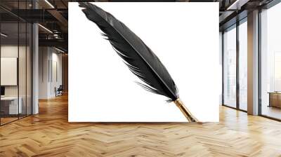 floated quill pen isolate on transparency background PNG Wall mural