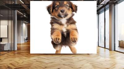 floating full body puppy isolate on transparency background PNG Wall mural