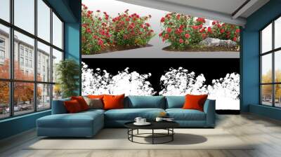 Cutout flowering bush isolated on transparent background via an alpha channel. Red rose shrub for landscaping or garden design Wall mural