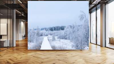 Fresh snow fall in the high fens of Baraque Michel of the Belgium Ardennes covering the landscape under a white layer creating a pure and serene view in  this unique natural park in Europe  Wall mural