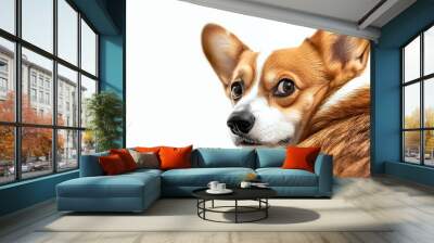 A brown and white dog with large ears, looking over its shoulder, isolated on white background. Wall mural