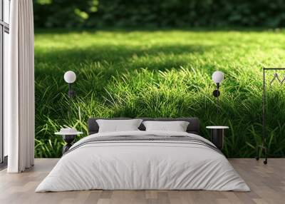 A close-up view of lush green grass in a natural setting. Wall mural