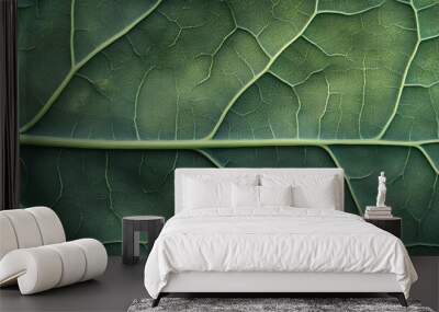 Close-up view of a green leaf showcasing its intricate vein structure. Wall mural