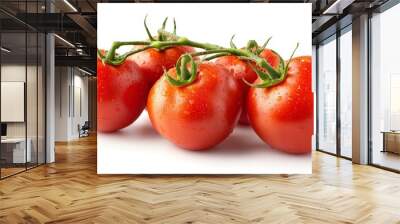 Four red tomatoes on a vine with water droplets. Wall mural