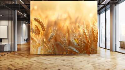 Golden wheat stalks illuminated by warm sunlight, showcasing nature's beauty. Wall mural