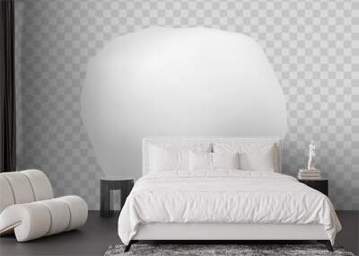 Snowball isolated on transparent background. Vector snow or cotton ball. White pompon element template. Wall mural