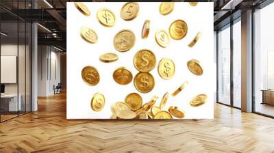  Gold coins with details, on isolate white background Wall mural