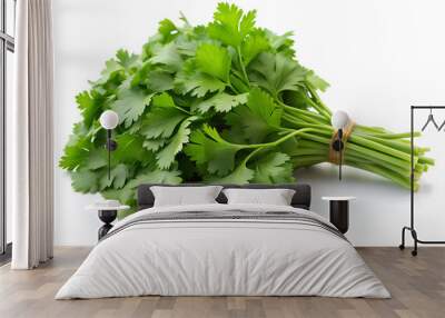 Bunch of green coriander on a white background, Clipping path Wall mural